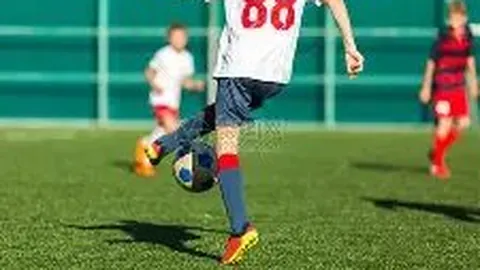 博业体育 产品 113010 lej