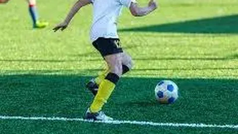 博业体育 资讯 111745 xnk