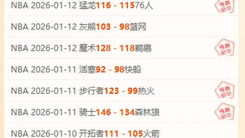 约基奇怒斥：这般表现竟居高位，实感难以置信！